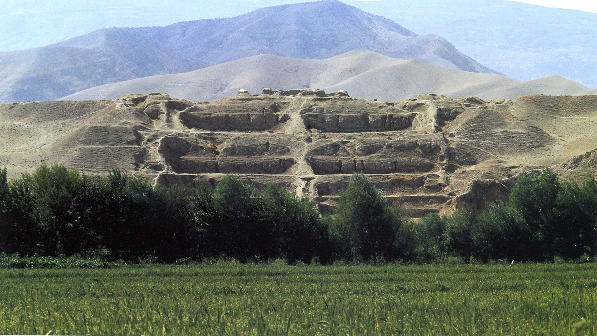 ترای های سرخ کتل