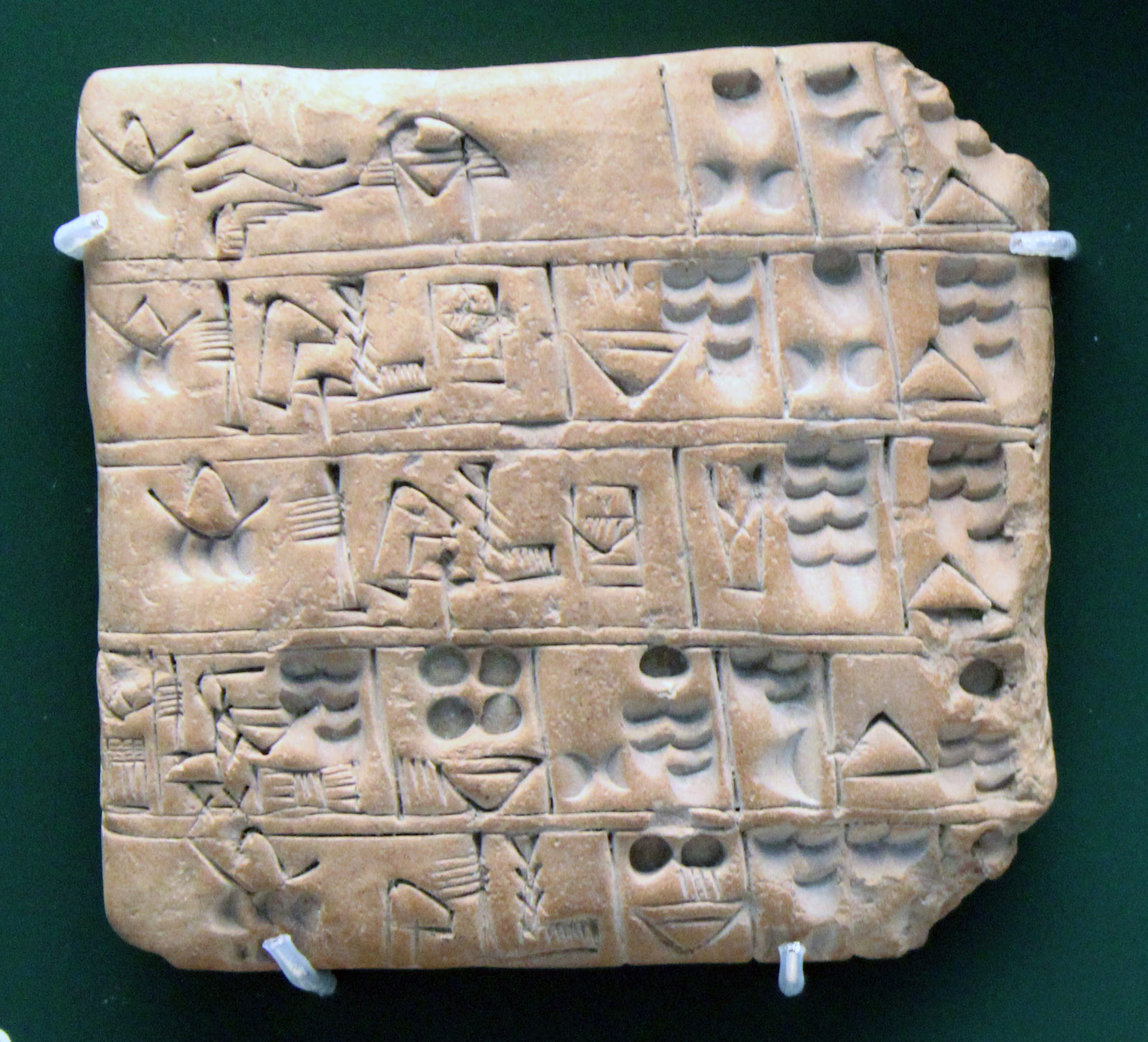 گزارش 5 روز کاری