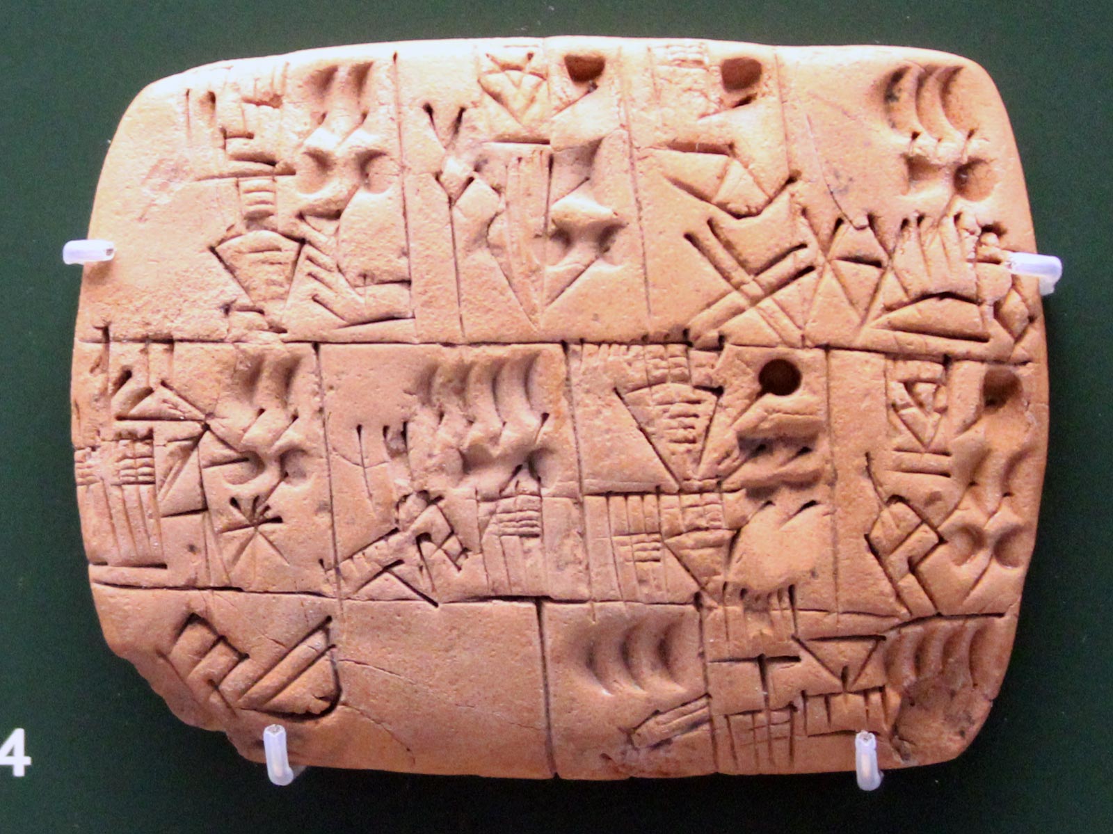 تحویل روزانه آبجو به کارگران