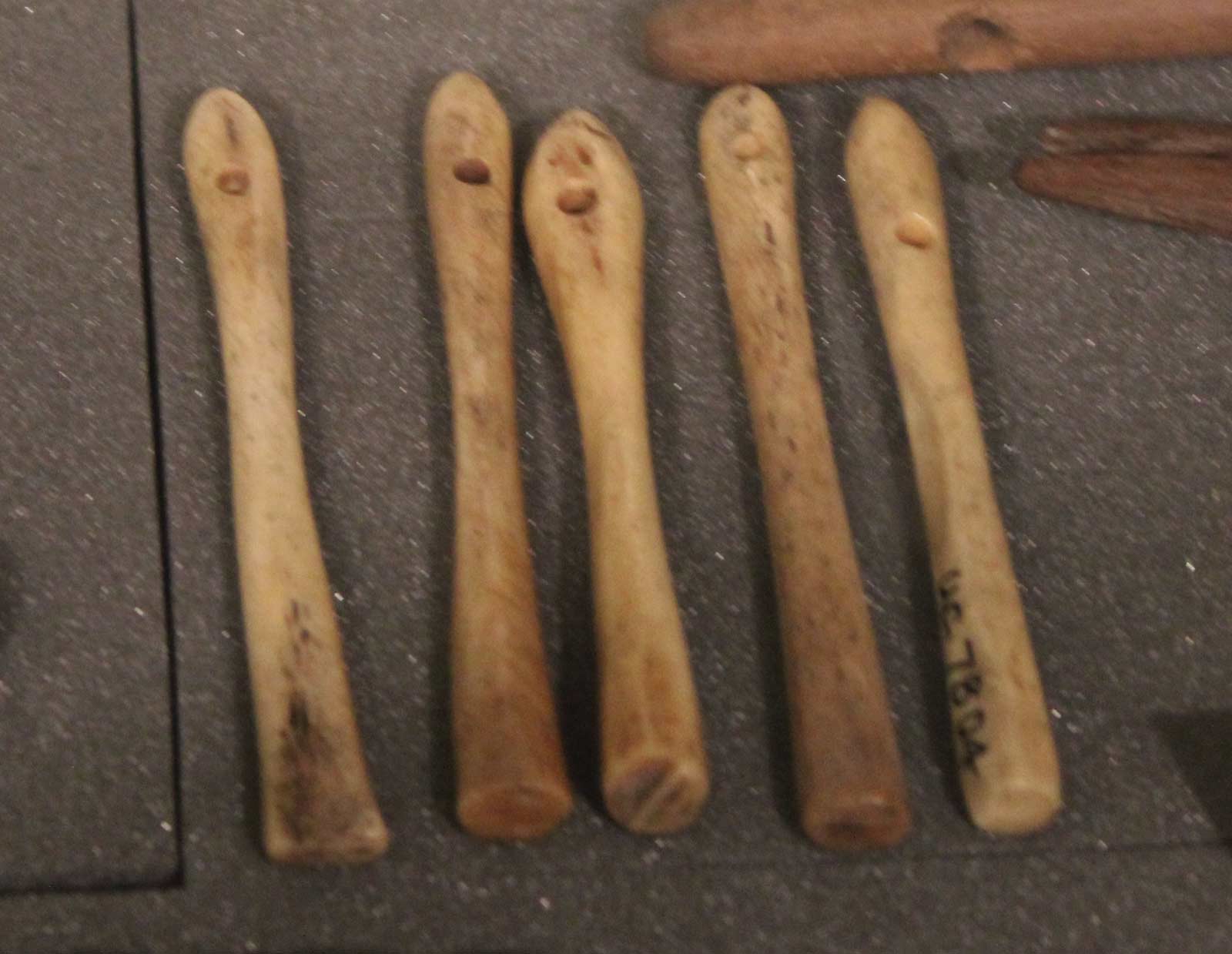 سوزن های استخوانی