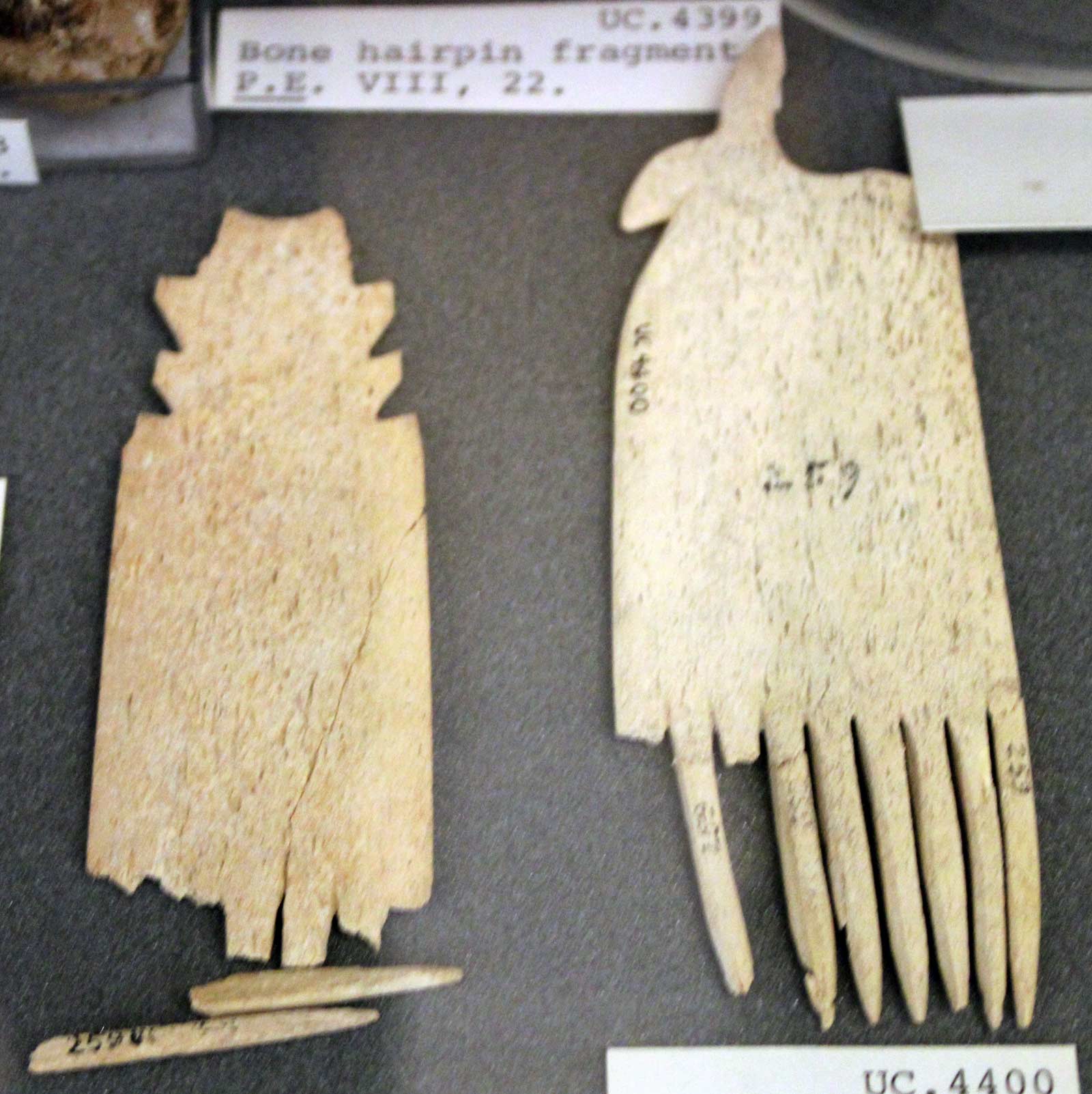 شانه استخوانی