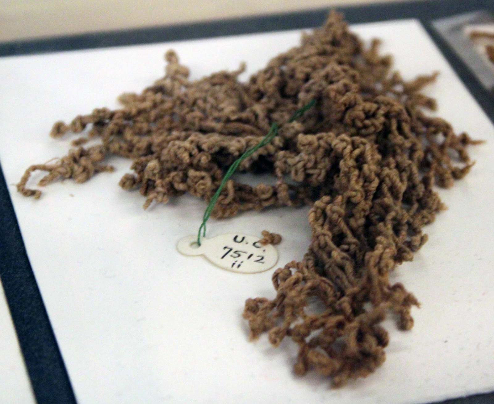 طناب بافی در مصر باستان