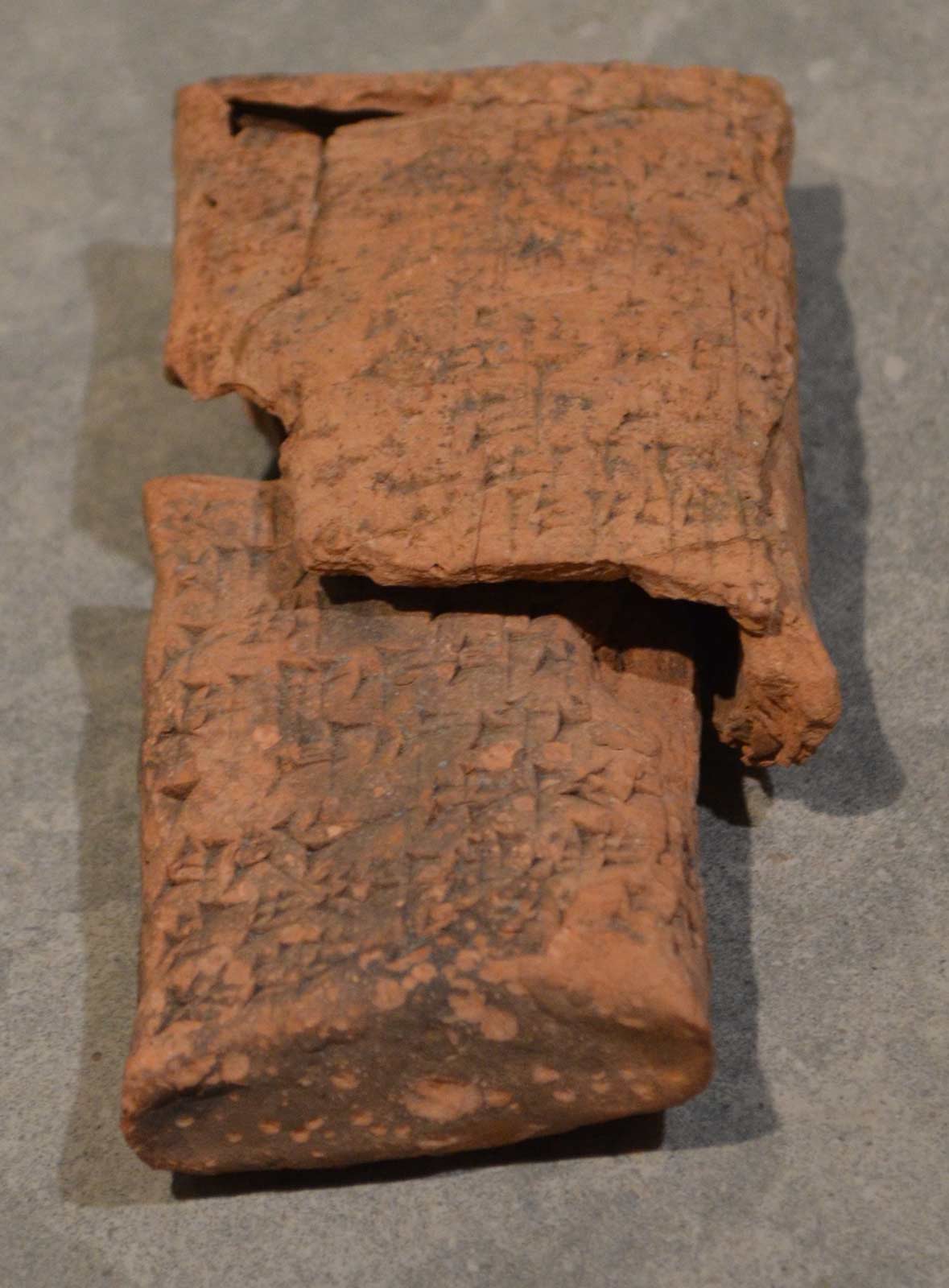 تبلت با پاکت گلی