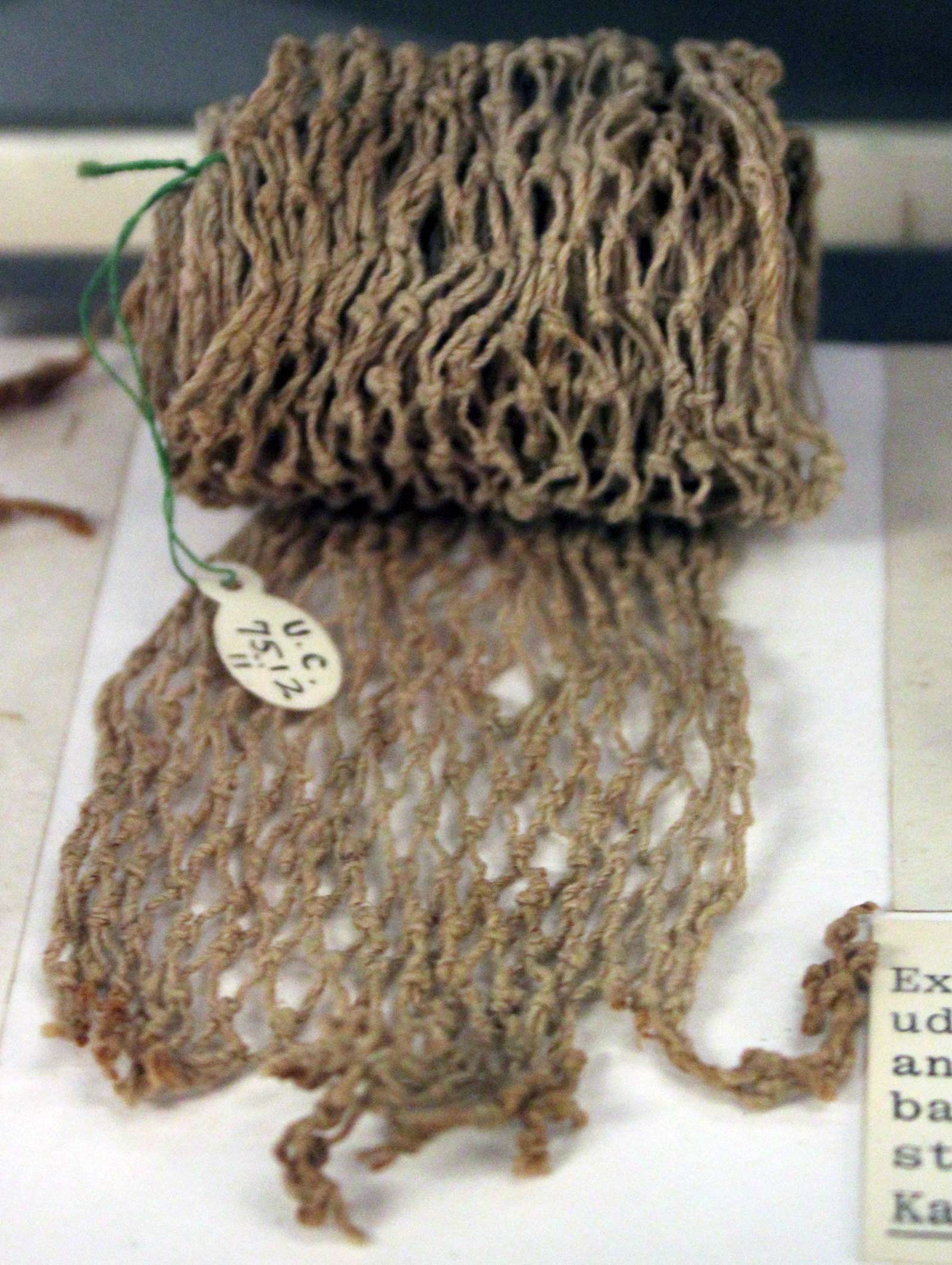 تور ماهیگیری در مصر باستان