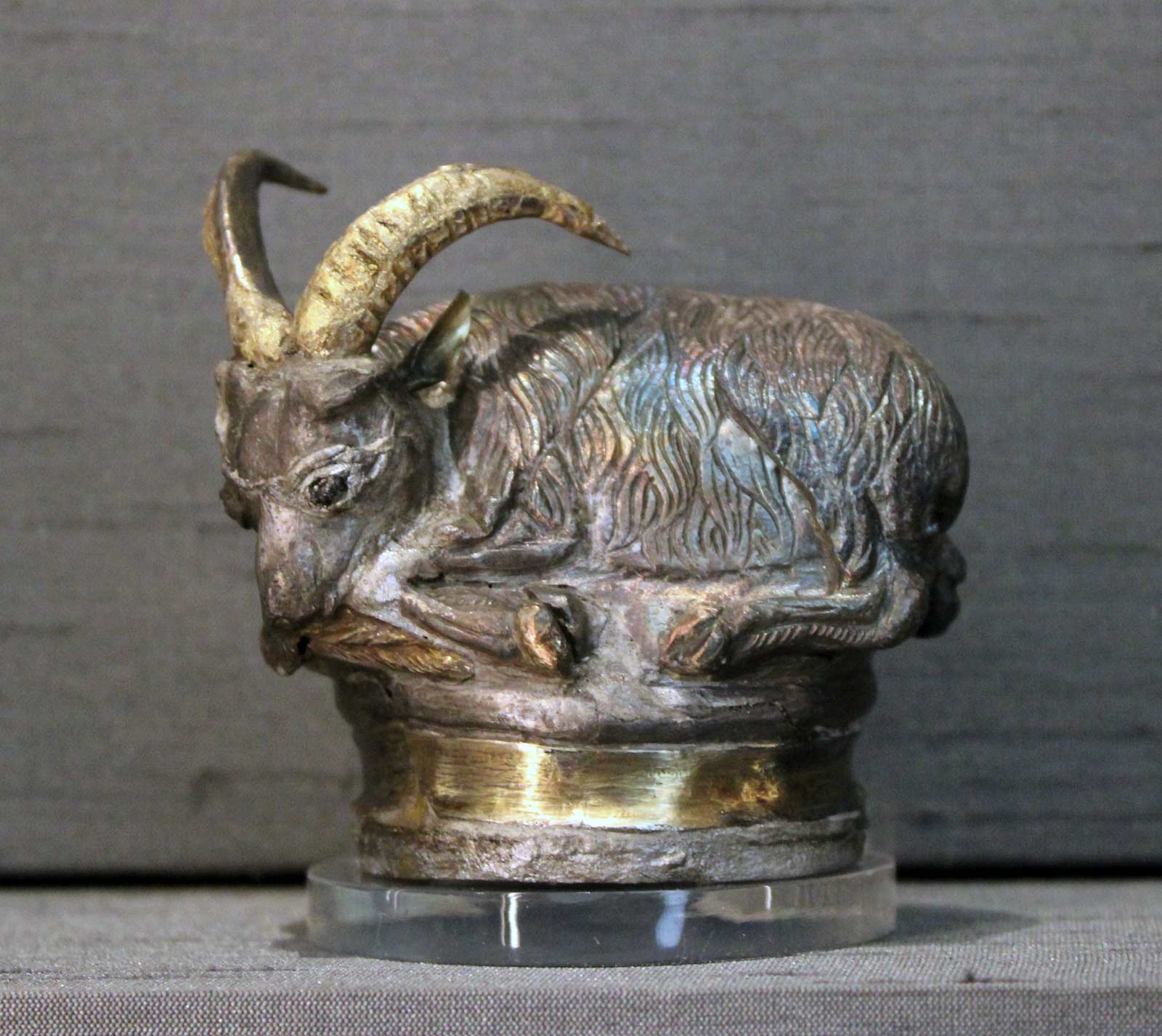 فلفلدان رومی