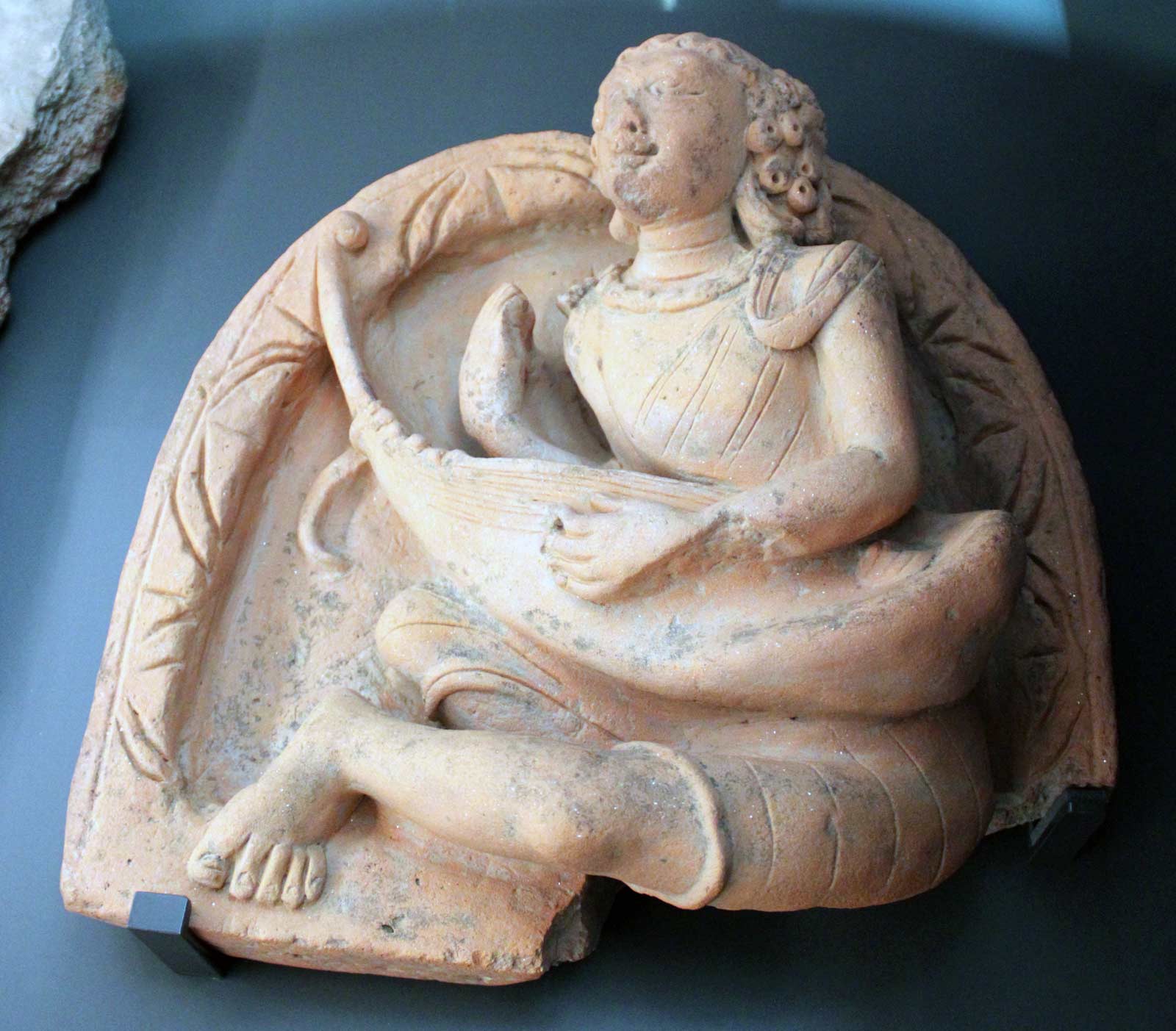 نوازنده ساز زهی در هند