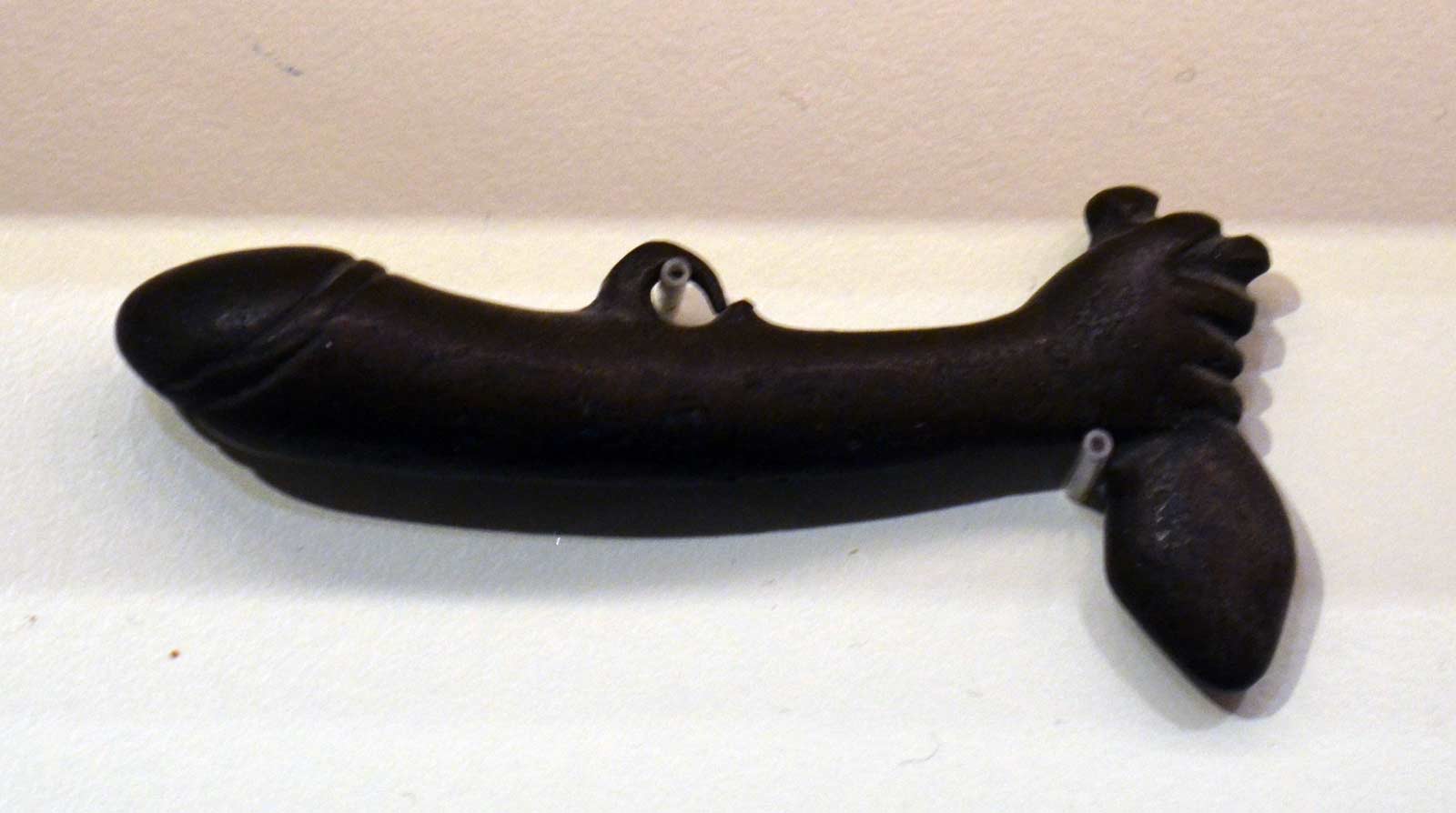 امولت آلت تناسلی