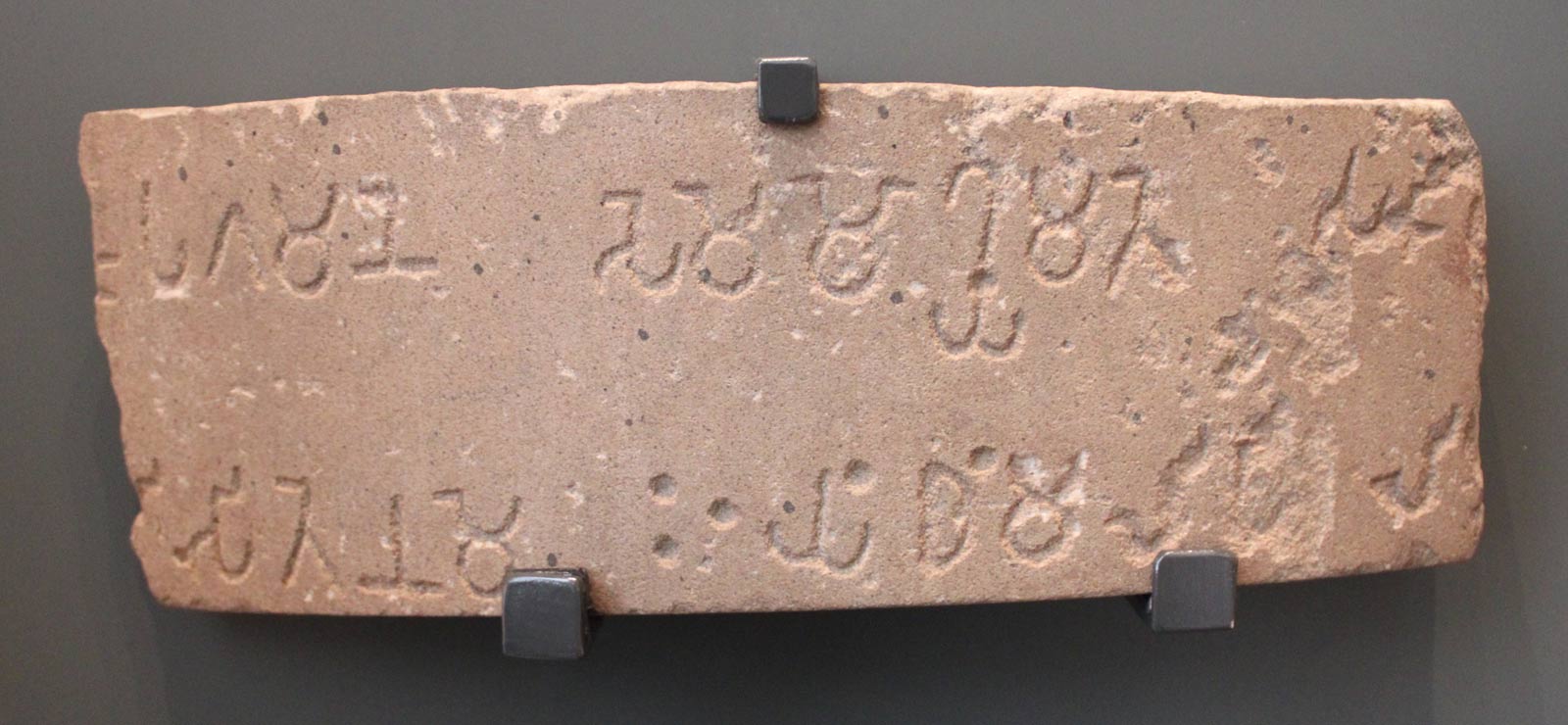 سفال  باروری