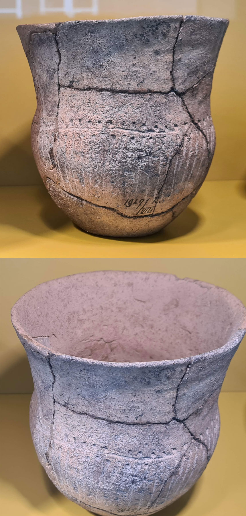 فرهنگ پیاله ناقوسی