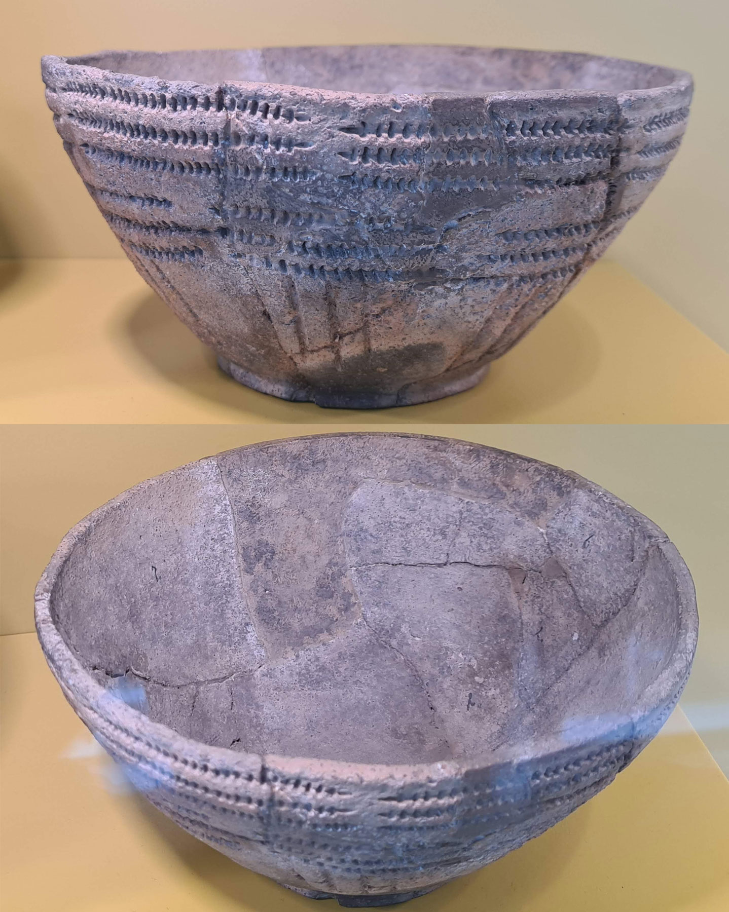 فرهنگ پیاله ناقوسی