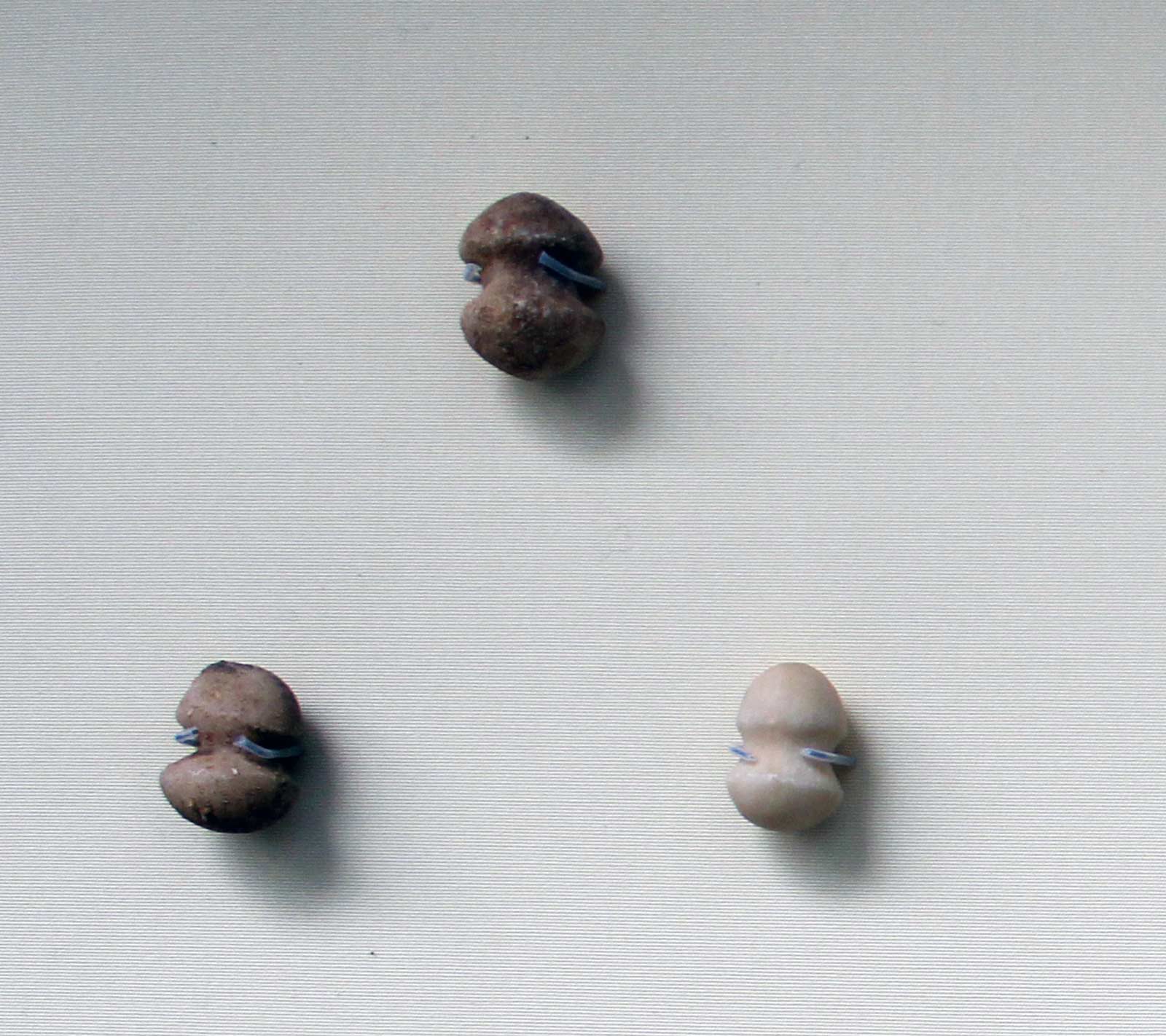 پیش از سلطنت کرمه