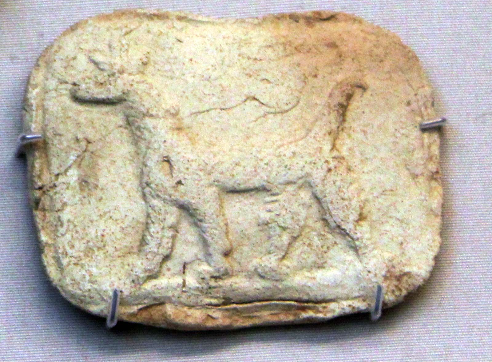 موشخوشو بابل