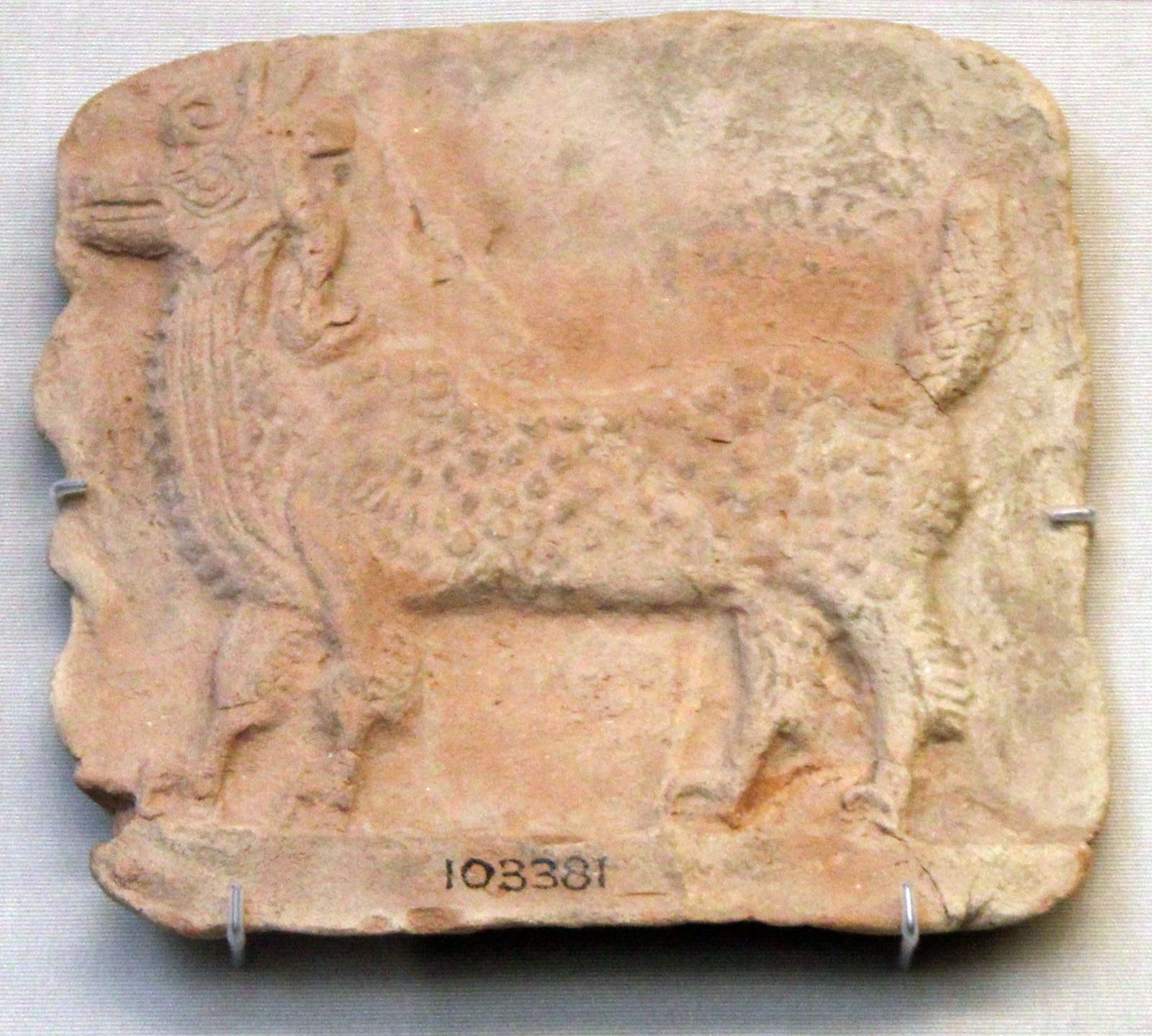 موشخوشو دیاله