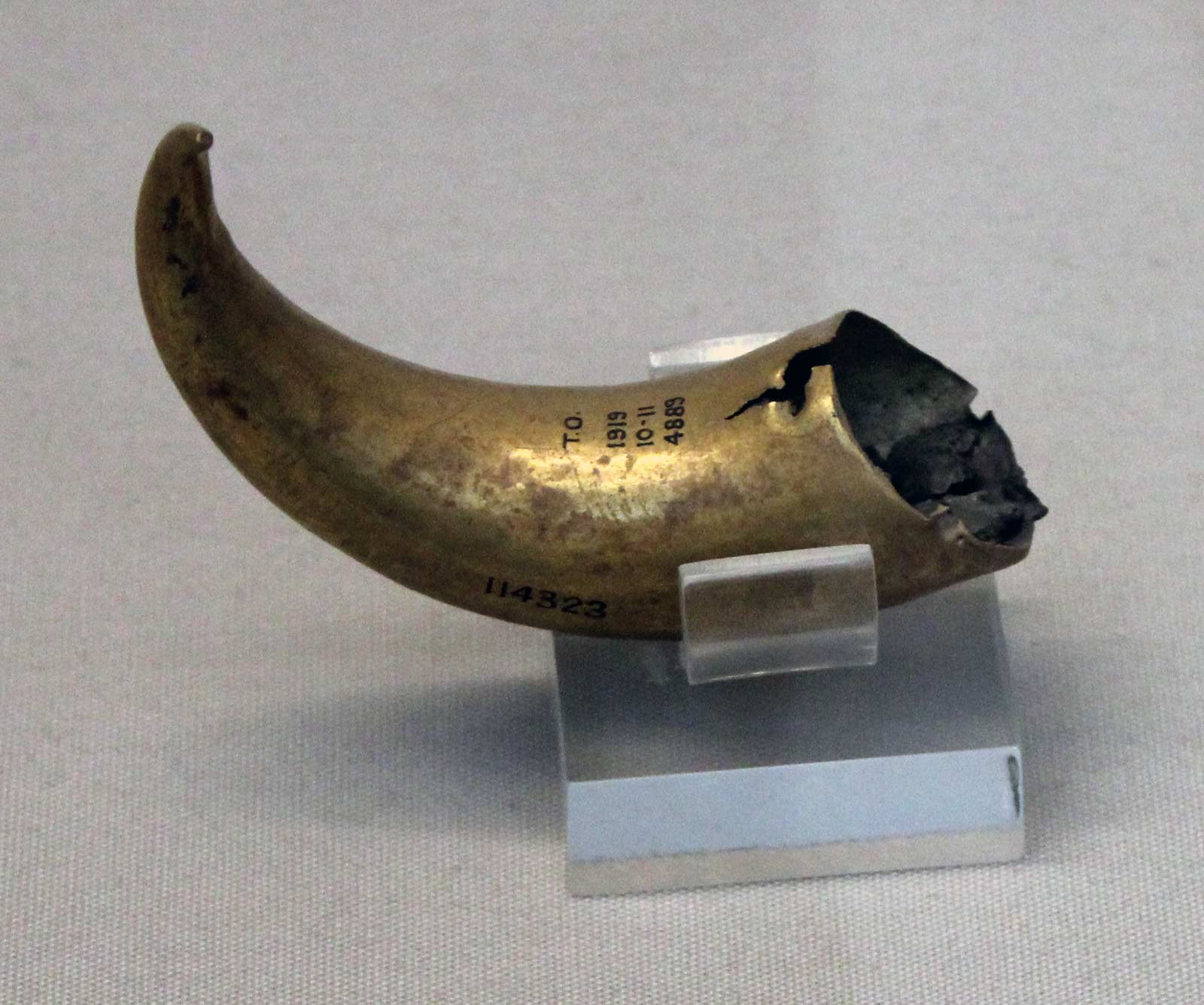 معبد نین هورسانگ تل عبید