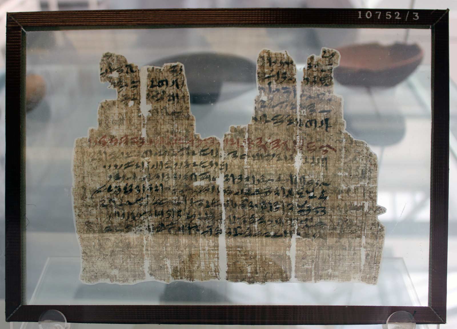 پاپیروس سسبی