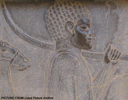  کاخ آپادانا تخت جمشید