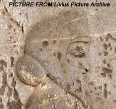  کاخ آپادانا تخت جمشید