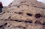 سازندگان تخت جمشید