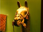 تزیینات اسب