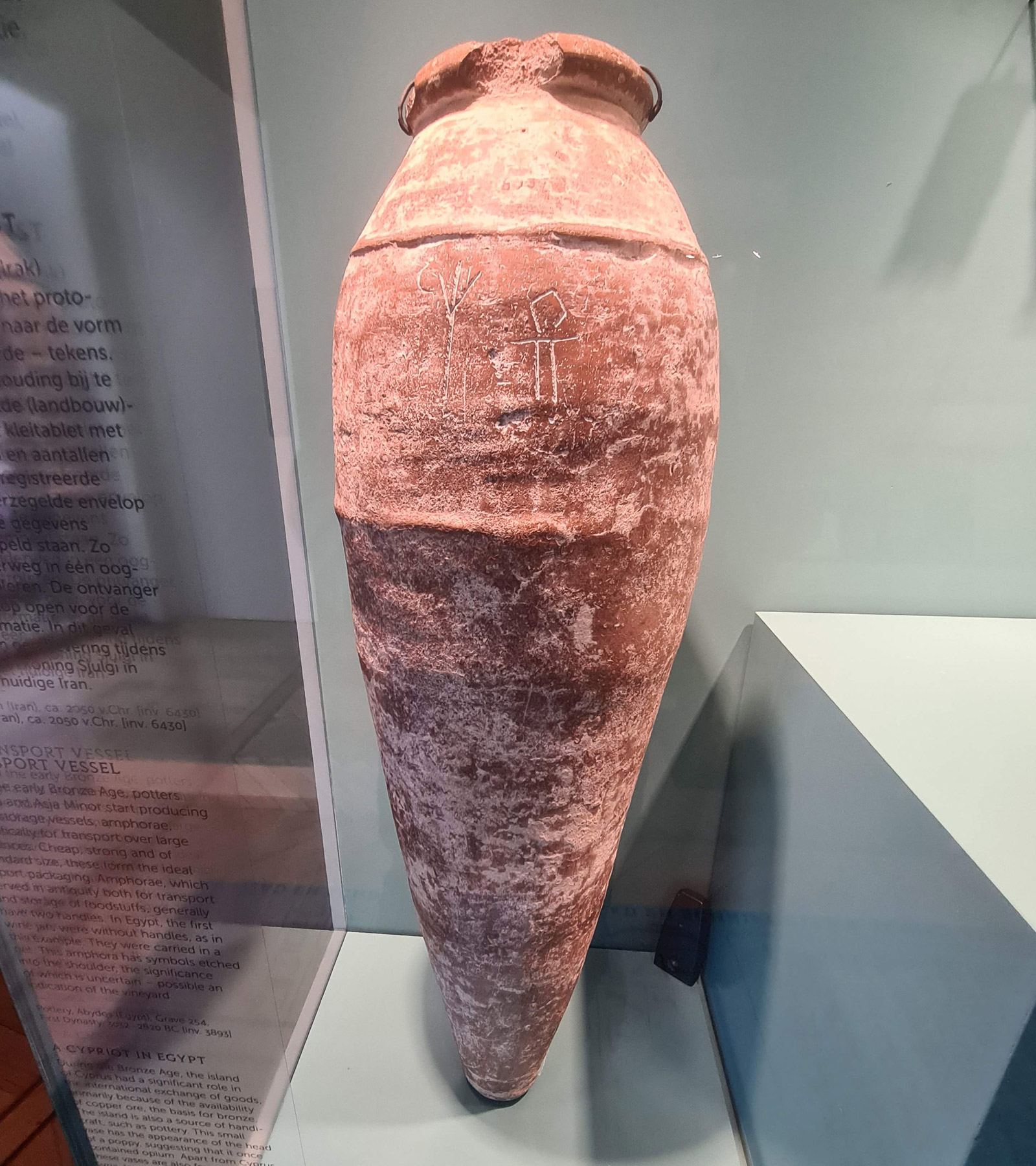 امفورا از مصر