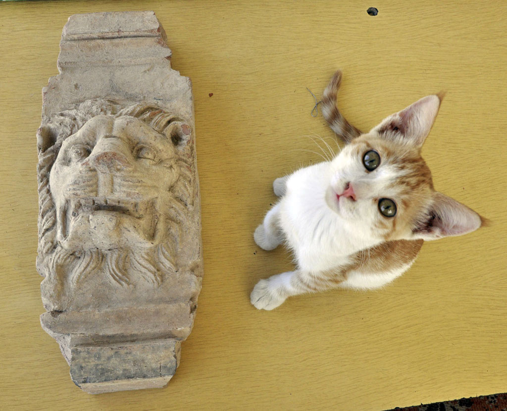 شهر اشکانی نسا