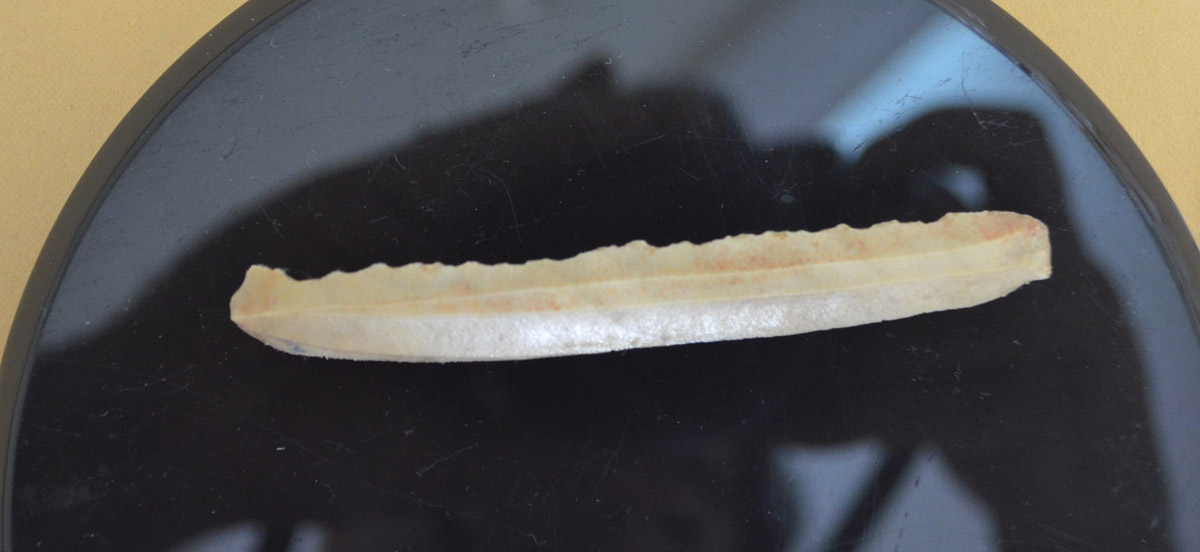 تپه سنگ چخماق بسطام