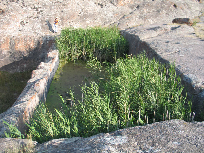 بوینی یوغون