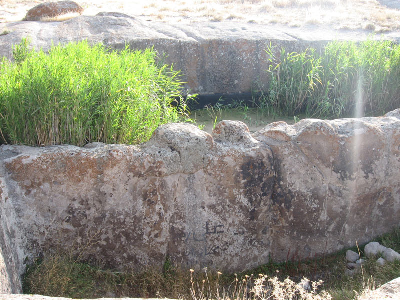 بوینی یوغون