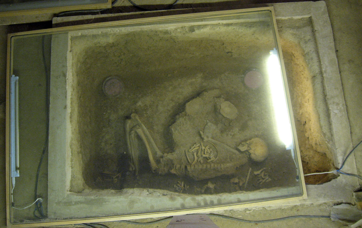 سایت موزه مسجد کبود