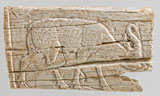 تپه زیویه