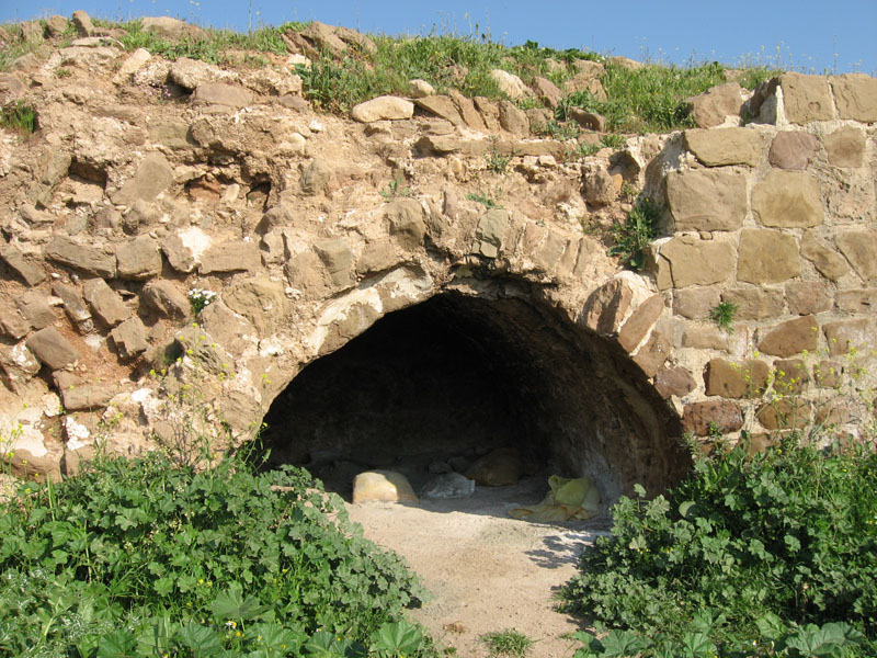 پل گاومیشان