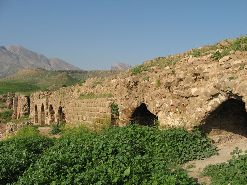 پل گاومیشان