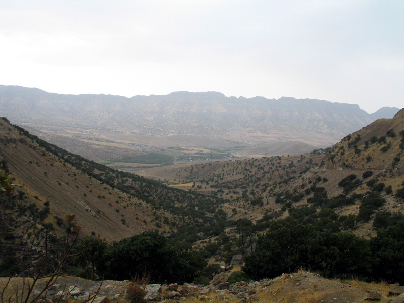 تاق گرا