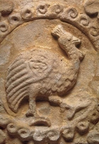 تیسفون